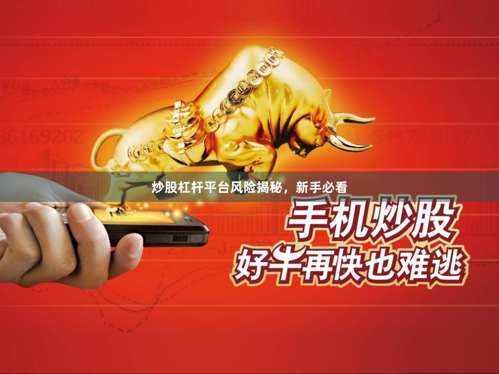 炒股杠杆平台风险揭秘，新手必看